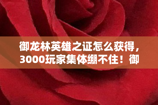 御龙林英雄之证怎么获得，3000玩家集体绷不住！御龙林英雄之证竟藏惊天疑点，策划你睡了吗？
