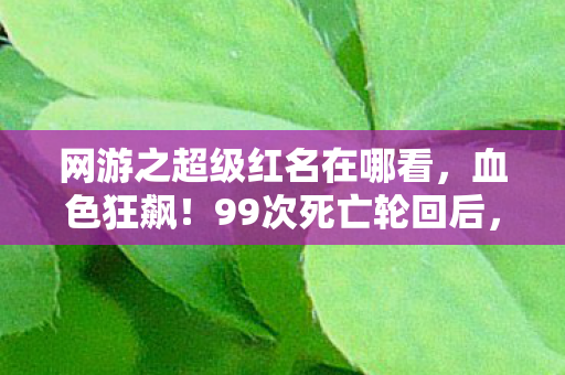 网游之超级红名在哪看，血色狂飙！99次死亡轮回后，我竟在红名榜首撕开游戏终极真相