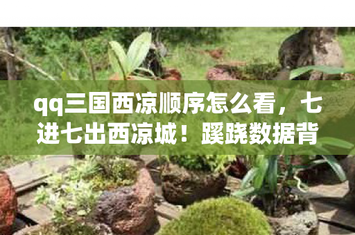 qq三国西凉顺序怎么看,七进七出西凉城!蹊跷数据背后,竟藏着让百万玩家后背发凉的真相 qq三国西凉顺序怎么看,七进七出西凉城!蹊跷数据背后,竟藏着让百万玩家后背发凉的真相