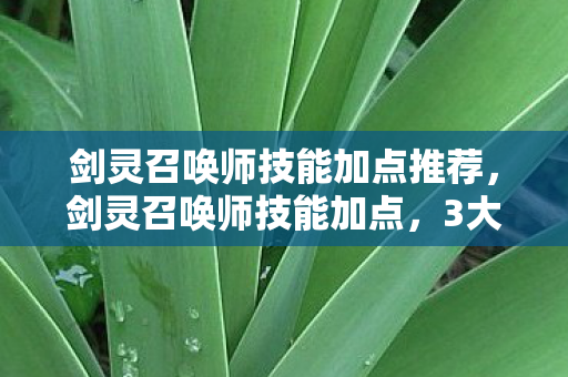 剑灵召唤师技能加点推荐，剑灵召唤师技能加点，3大流派怎么选？8年老玩家都纠结！