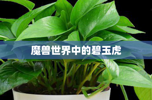 魔兽世界中的碧玉虎图片