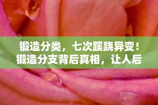 锻造分类，七次蹊跷异变！锻造分支背后真相，让人后背发凉