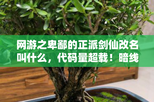 网游之卑鄙的正派剑仙改名叫什么,代码量超载!暗线操控下玩家集体头皮发麻的赛博修仙叛乱 网游之卑鄙的正派剑仙改名叫什么,代码量超载!暗线操控下玩家集体头皮发麻的赛博修仙叛乱