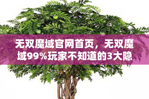 无双魔域官网首页，无双魔域99%玩家不知道的3大隐藏副本！爽到头皮发麻！