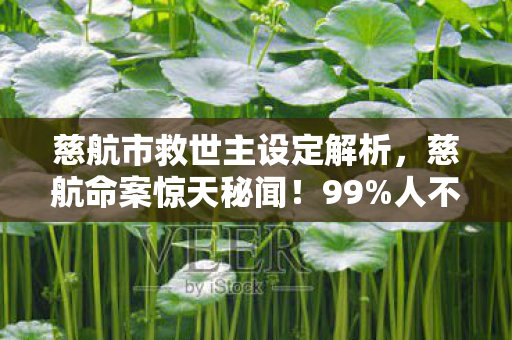 慈航市救世主设定解析，慈航命案惊天秘闻！99%人不知的致命细节，你敢直面吗？