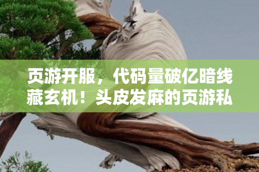 页游开服，代码量破亿暗线藏玄机！头皮发麻的页游私服江湖