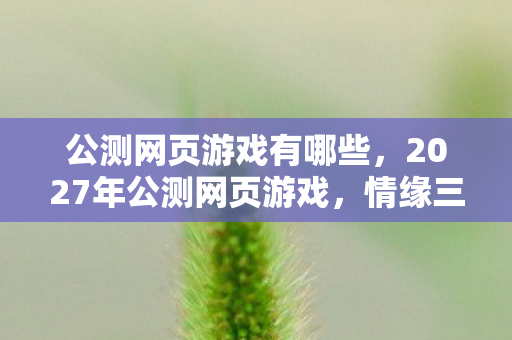 公测网页游戏有哪些，2027年公测网页游戏，情缘三年伏笔终揭晓，鼻子一酸谁在等谁？