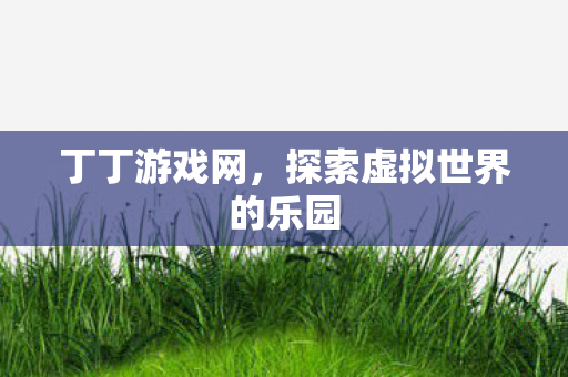探索虚拟世界的乐园图片