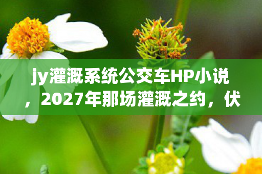 jy灌溉系统公交车HP小说，2027年那场灌溉之约，伏笔藏了十年，想起时鼻子一酸