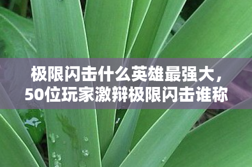 极限闪击什么英雄最强大,50位玩家激辩极限闪击谁称王?这疑点一出,我直接绷不住了! 极限闪击什么英雄最强大,50位玩家激辩极限闪击谁称王?这疑点一出,我直接绷不住了!
