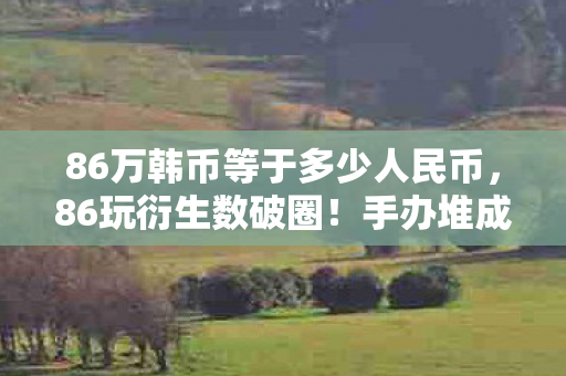 86万韩币等于多少人民币，86玩衍生数破圈！手办堆成山，冰箱空如也的意想不到人生
