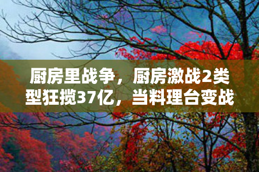 厨房里战争，厨房激战2类型狂揽37亿，当料理台变战场，Z世代为何为锅铲对决疯狂买单？
