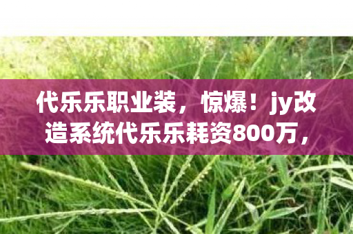 代乐乐职业装，惊爆！jy改造系统代乐乐耗资800万，背后隐情让人吓一跳！