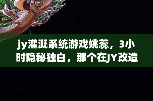 jy灌溉系统游戏姚蕊，3小时隐秘独白，那个在JY改造系统里哽咽的深夜，你还记得吗？