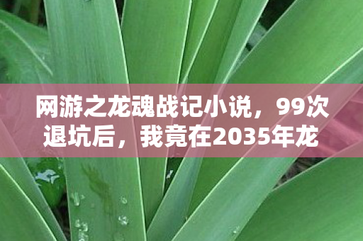 网游之龙魂战记小说，99次退坑后，我竟在2035年龙魂战记里挖到惊天秘密！