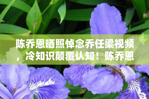 陈乔恩晒照悼念乔任梁视频,冷知识颠覆认知!陈乔恩悼念乔任梁背后,游戏里竟藏目瞪口呆的炸弹密码 陈乔恩晒照悼念乔任梁视频,冷知识颠覆认知!陈乔恩悼念乔任梁背后,游戏里竟藏目瞪口呆的炸弹密码