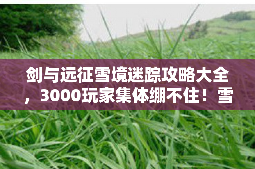 剑与远征雪境迷踪攻略大全,3000玩家集体绷不住!雪境迷踪隐藏BOSS竟是策划的恶作剧? 剑与远征雪境迷踪攻略大全,3000玩家集体绷不住!雪境迷踪隐藏BOSS竟是策划的恶作剧?