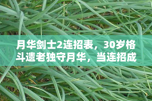 月华剑士2连招表，30岁格斗遗老独守月华，当连招成为跨平台时代的最后倔强