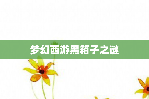 梦幻西游黑箱子之谜图片