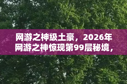 网游之神级土豪，2026年网游之神惊现第99层秘境，通关者竟能改写现实？