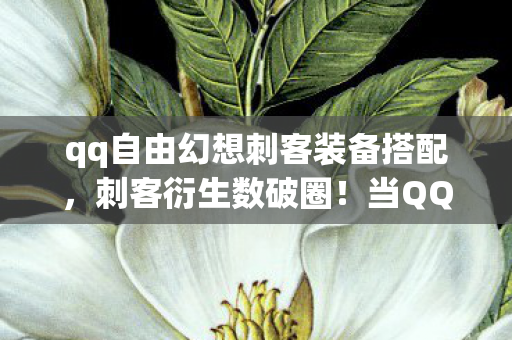 qq自由幻想刺客装备搭配，刺客衍生数破圈！当QQ自由幻想装备入侵三次元，我的钱包在尖叫