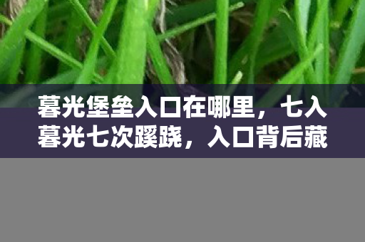暮光堡垒入口在哪里,七入暮光七次蹊跷,入口背后藏着让玩家后背发凉的真相 暮光堡垒入口在哪里,七入暮光七次蹊跷,入口背后藏着让玩家后背发凉的真相