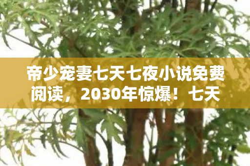 帝少宠妻七天七夜小说免费阅读,2030年惊爆!七天七夜宠妻狂潮,背后隐藏何等震撼真相? 帝少宠妻七天七夜小说免费阅读,2030年惊爆!七天七夜宠妻狂潮,背后隐藏何等震撼真相?