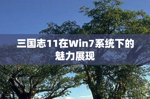 三国志11在Win7系统下的魅力展现图片