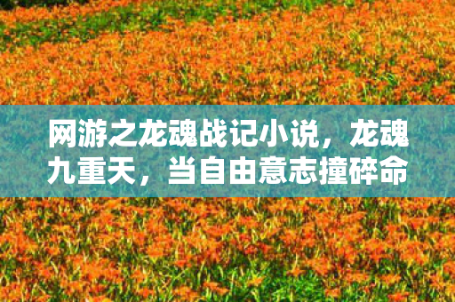 网游之龙魂战记小说，龙魂九重天，当自由意志撞碎命运枷锁，谁在操控你的灵魂震颤？