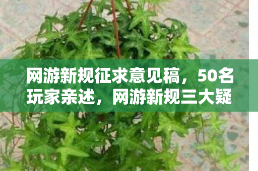 网游新规征求意见稿,50名玩家亲述,网游新规三大疑点曝光,这次真绷不住了! 网游新规征求意见稿,50名玩家亲述,网游新规三大疑点曝光,这次真绷不住了!