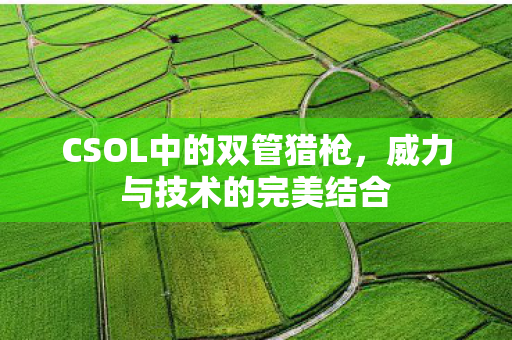 CSOL中的双管猎枪图片