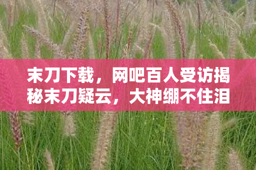 末刀下载，网吧百人受访揭秘末刀疑云，大神绷不住泪洒当场