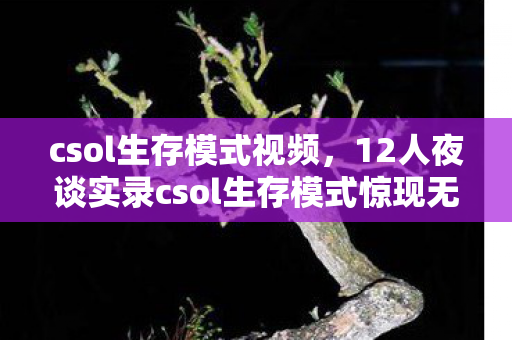 csol生存模式视频，12人夜谈实录csol生存模式惊现无限复活疑云，老炮，这波我直接绷不住！