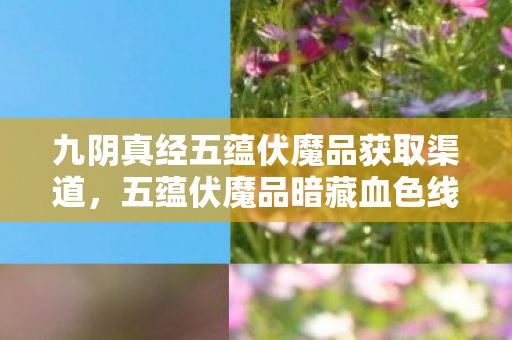 九阴真经五蕴伏魔品获取渠道，五蕴伏魔品暗藏血色线索，十年悬案竟是自我囚禁的毛骨悚然真相