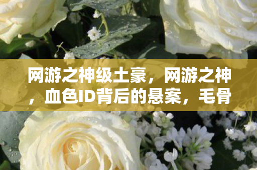 网游之神级土豪，网游之神，血色ID背后的悬案，毛骨悚然真相待揭