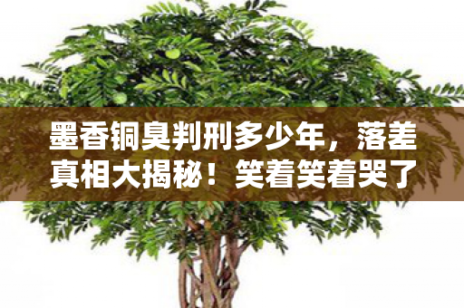 墨香铜臭判刑多少年,落差真相大揭秘!笑着笑着哭了,游戏骂到祖坟冒烟,却难舍那份情 墨香铜臭判刑多少年,落差真相大揭秘!笑着笑着哭了,游戏骂到祖坟冒烟,却难舍那份情