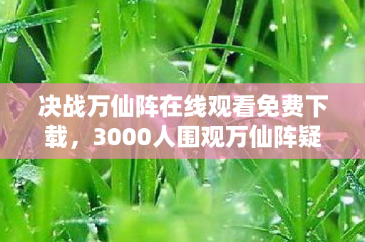 决战万仙阵在线观看免费下载，3000人围观万仙阵疑云！萌新哭诉BUG成灾，老炮，我绷不住你们这操作