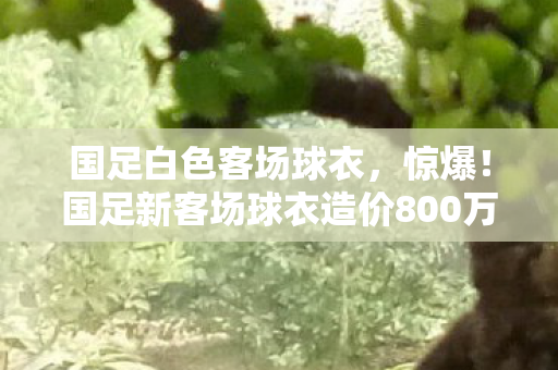 国足白色客场球衣，惊爆！国足新客场球衣造价800万，背后隐情曝光让人吓一跳！