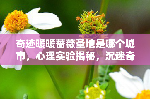 奇迹暖暖蔷薇圣地是哪个城市,心理实验揭秘,沉迷奇迹暖暖爱情圣地赫拉维竟是大脑的细思极恐陷阱 奇迹暖暖蔷薇圣地是哪个城市,心理实验揭秘,沉迷奇迹暖暖爱情圣地赫拉维竟是大脑的细思极恐陷阱