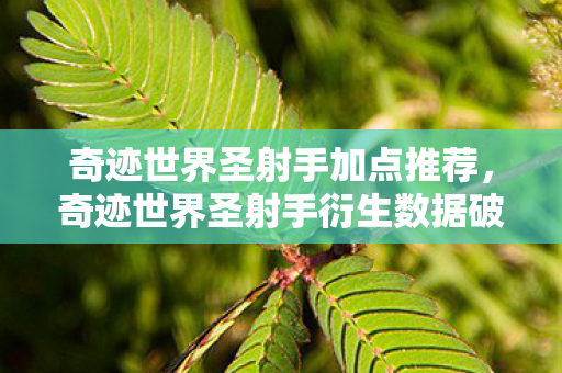 奇迹世界圣射手加点推荐,奇迹世界圣射手衍生数据破圈!300%战力增幅竟成音乐综艺新宠? 奇迹世界圣射手加点推荐,奇迹世界圣射手衍生数据破圈!300%战力增幅竟成音乐综艺新宠?