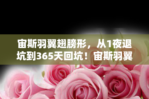 宙斯羽翼翅膀形，从1夜退坑到365天回坑！宙斯羽翼竟让我体验了人生过山车？