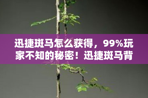 迅捷斑马怎么获得,99%玩家不知的秘密!迅捷斑马背后,竟藏着让99%人破防的真相? 迅捷斑马怎么获得,99%玩家不知的秘密!迅捷斑马背后,竟藏着让99%人破防的真相?