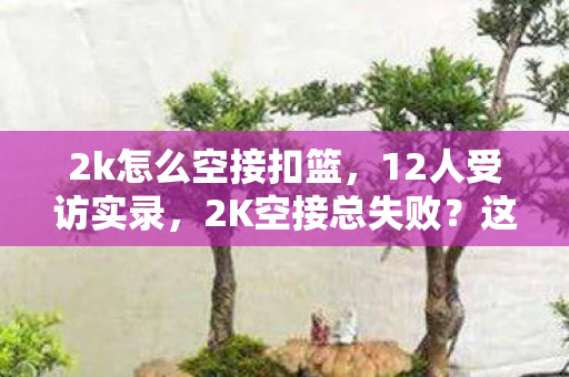 2k怎么空接扣篮，12人受访实录，2K空接总失败？这疑点让我在网吧绷不住了！