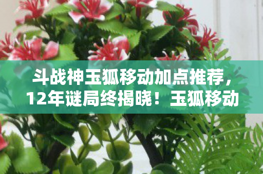斗战神玉狐移动加点推荐,12年谜局终揭晓!玉狐移动加点竟藏泪目真相 斗战神玉狐移动加点推荐,12年谜局终揭晓!玉狐移动加点竟藏泪目真相