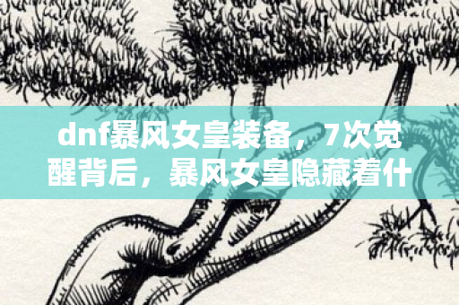 dnf暴风女皇装备，7次觉醒背后，暴风女皇隐藏着什么惊天秘密？触动词揭开真相！