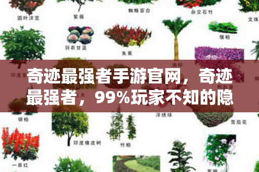 奇迹最强者手游官网,奇迹最强者,99%玩家不知的隐藏关卡,通关后泪目到颤抖! 奇迹最强者手游官网,奇迹最强者,99%玩家不知的隐藏关卡,通关后泪目到颤抖!