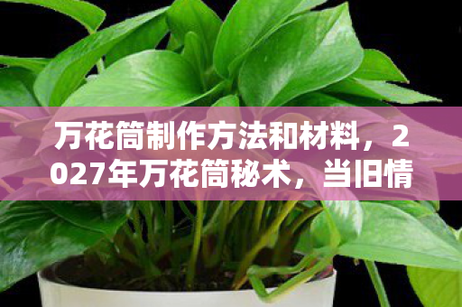 万花筒制作方法和材料,2027年万花筒秘术,当旧情如棱镜碎裂,鼻子一酸才懂谁替我扛过青春 万花筒制作方法和材料,2027年万花筒秘术,当旧情如棱镜碎裂,鼻子一酸才懂谁替我扛过青春