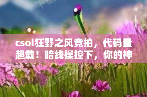 csol狂野之风竞拍，代码量超载！暗线操控下，你的神经末梢正在头皮发麻