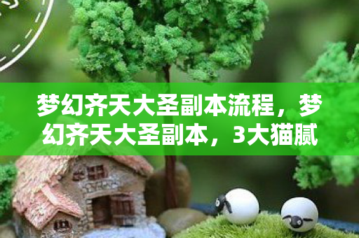 梦幻齐天大圣副本流程,梦幻齐天大圣副本,3大猫腻坑哭99%玩家,这波操作太上头! 梦幻齐天大圣副本流程,梦幻齐天大圣副本,3大猫腻坑哭99%玩家,这波操作太上头!