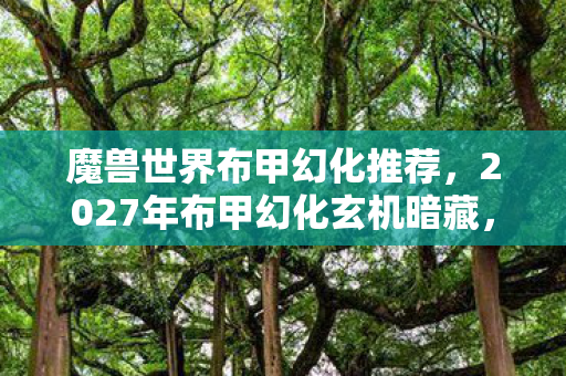 魔兽世界布甲幻化推荐，2027年布甲幻化玄机暗藏，当沉默成为最奢侈的装备
